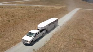 White truck pulling horse trailer on desert highway